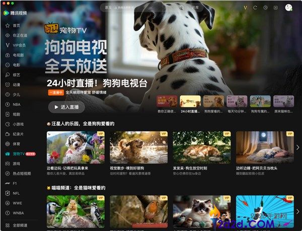 腾讯视频宠物TV上线,专给猫、狗看 减缓孤苦拆家