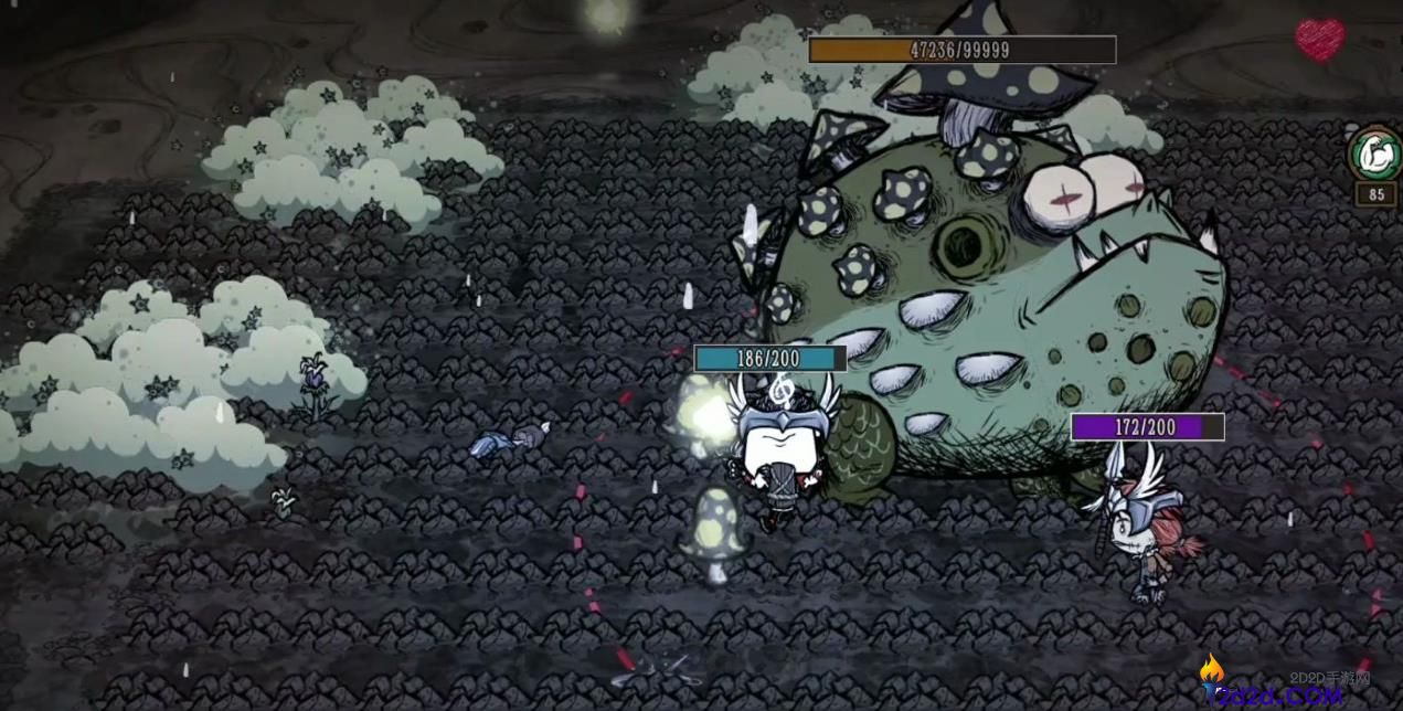 饥荒毒菌蟾蜍有什么特性