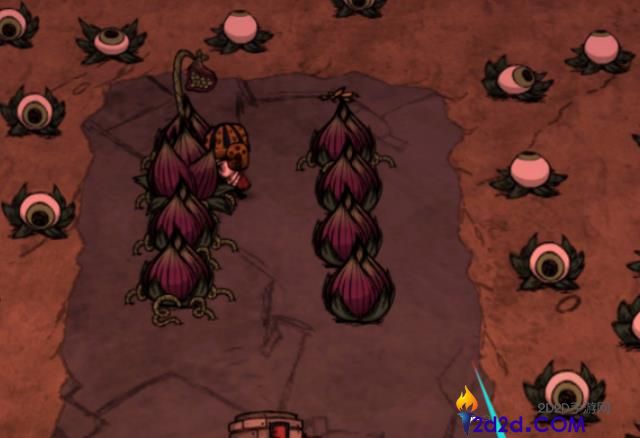 饥荒食人花有什么作用