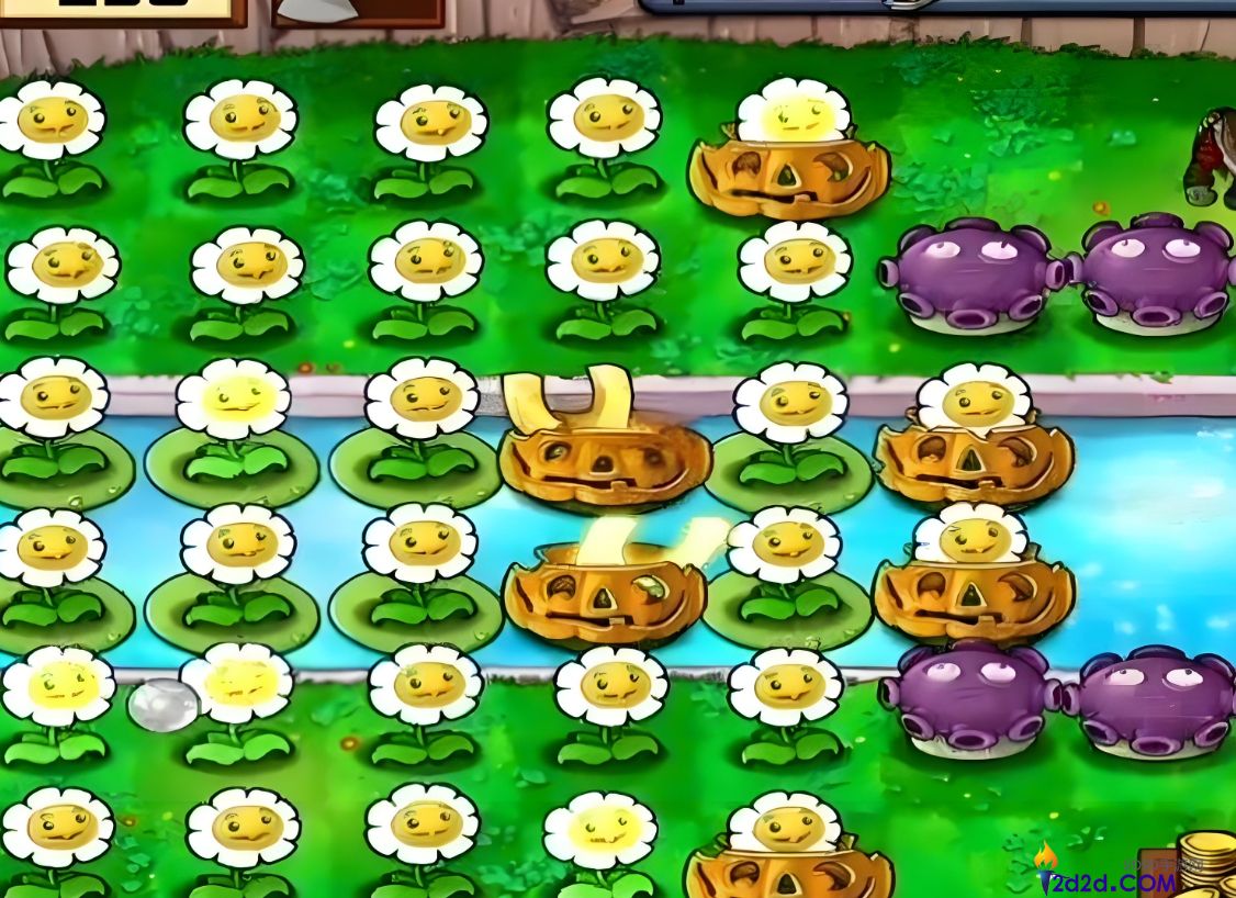 植物大战僵尸怎么刷金币