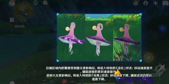 原神当中的蕈兽该怎么打