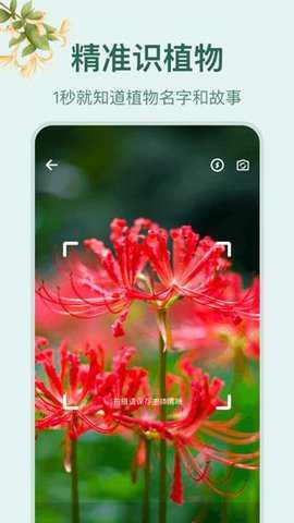 小园丁花草识别软件下载