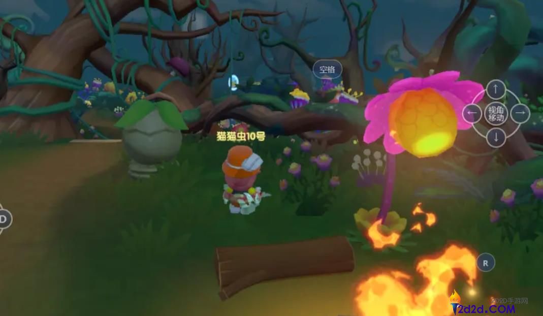 摩尔庄园黑森林攻略是什么