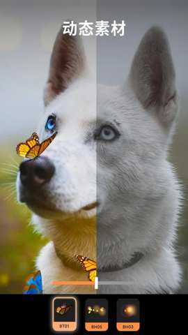 Motionleap动图制作软件最新版下载