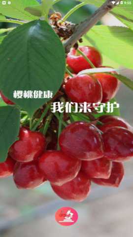 樱桃医生专业版下载