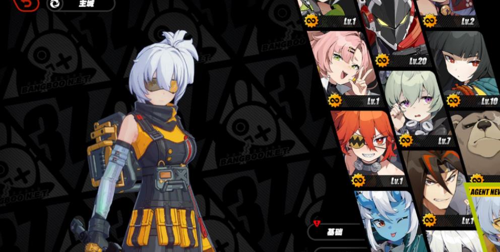 绝区零11号怎么配队-绝区零11号详细指南