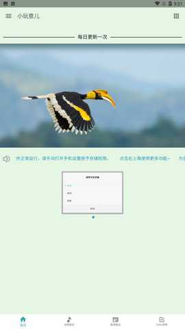 小玩意儿app官方版下载