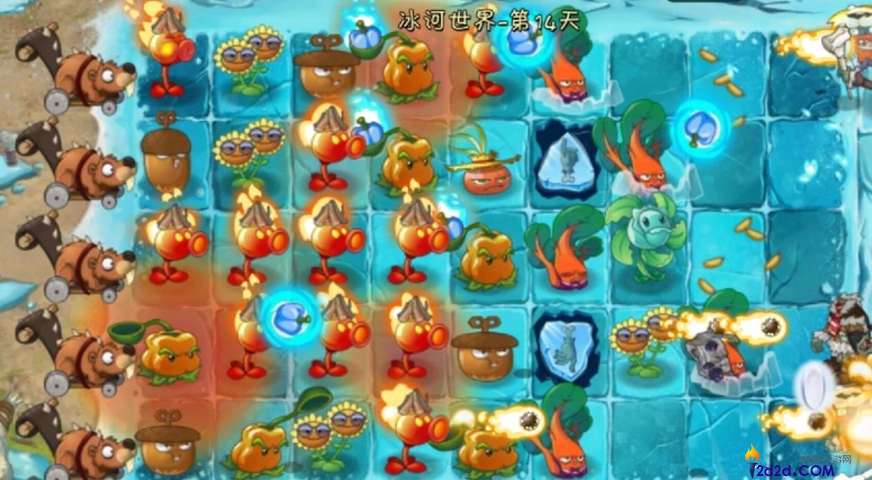 植物大战僵尸2甜菜护卫怎么样