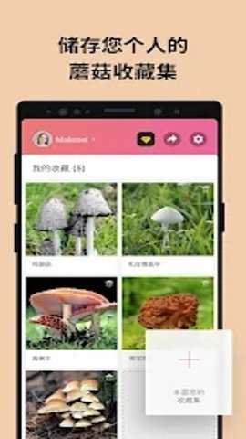 蘑菇识别扫一扫软件中文版破解版下载