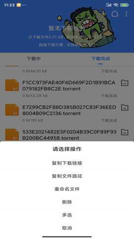 浩克下载器最新版下载
