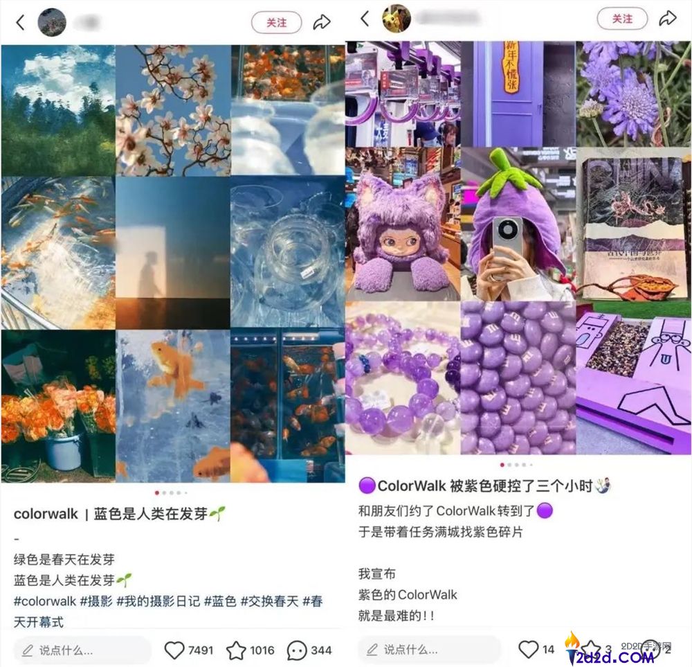 辞别CityWalk,这届年青人又迷上ColorWalk