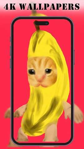 香蕉猫壁纸手机版下载