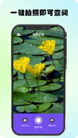 万物识图高手下载