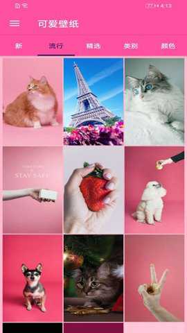 墙纸口袋壁纸下载