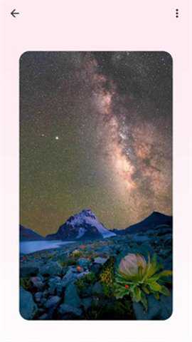 吐司壁纸下载最新版