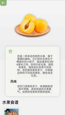 指尖果园下载