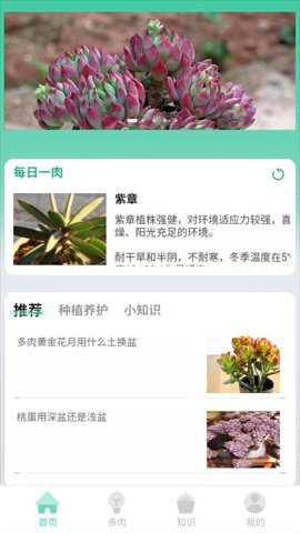 掌中百科下载