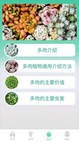 掌中百科下载