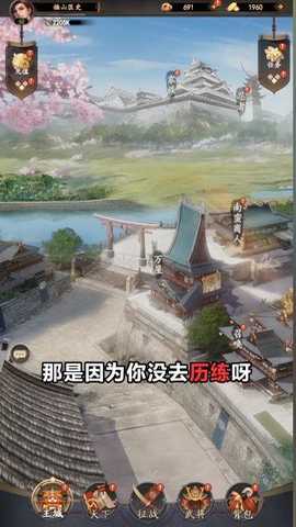 信长野望游戏下载