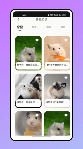 仓鼠叫声翻译器下载
