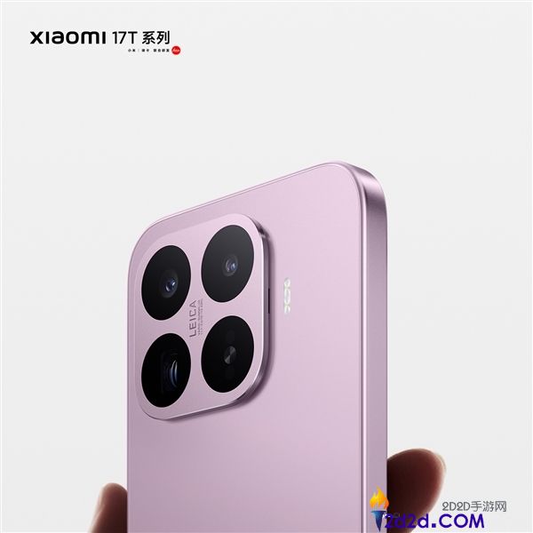[错误] API响应格式错误