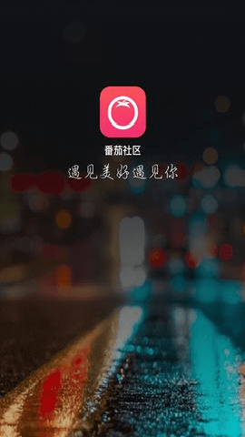 番茄交友下载