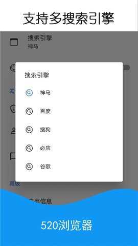 520浏览器下载