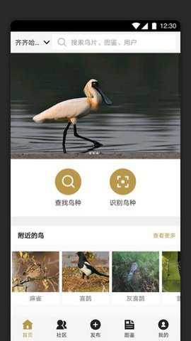 识鸟家安卓版下载