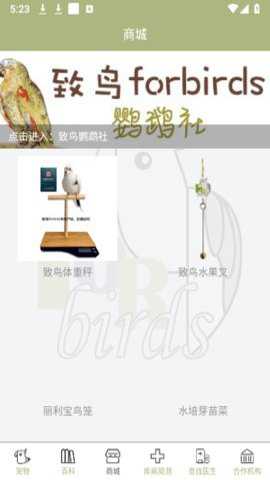 致鸟forbirds下载