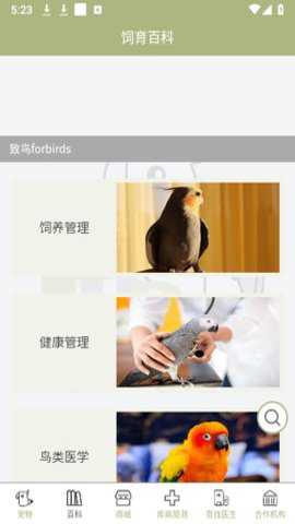 致鸟forbirds下载