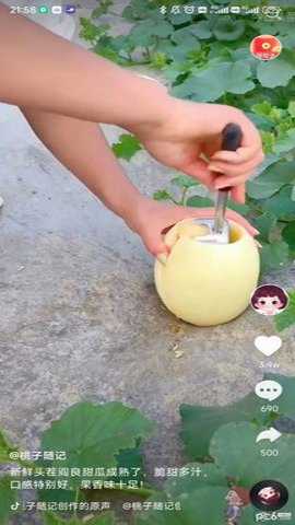 极挑短视频下载