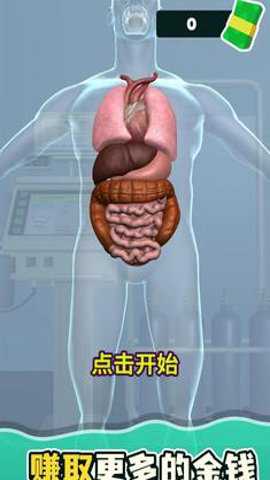 消化器官游戏下载