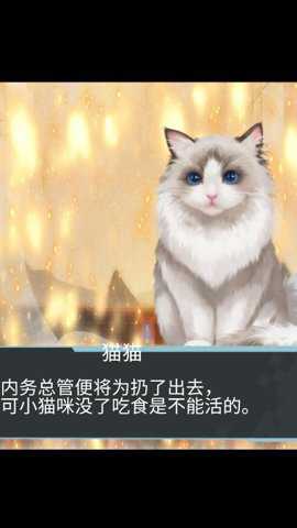 猫生煎熬无广告版游戏下载