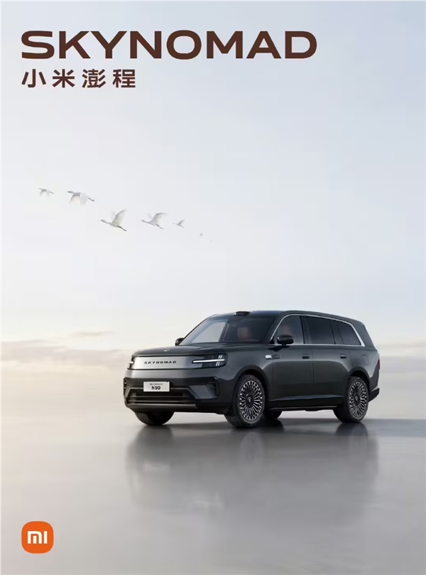 [错误] API响应格式错误
