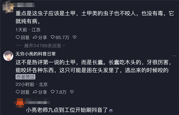 男子睡觉被虫咬掉大量头发，专家揭秘“凶手”真相