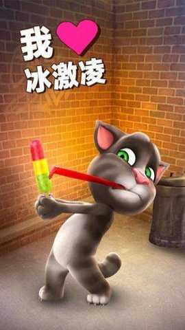 会说话的汤姆猫无广告版游戏下载