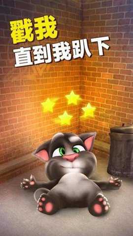 会说话的汤姆猫无广告版游戏下载